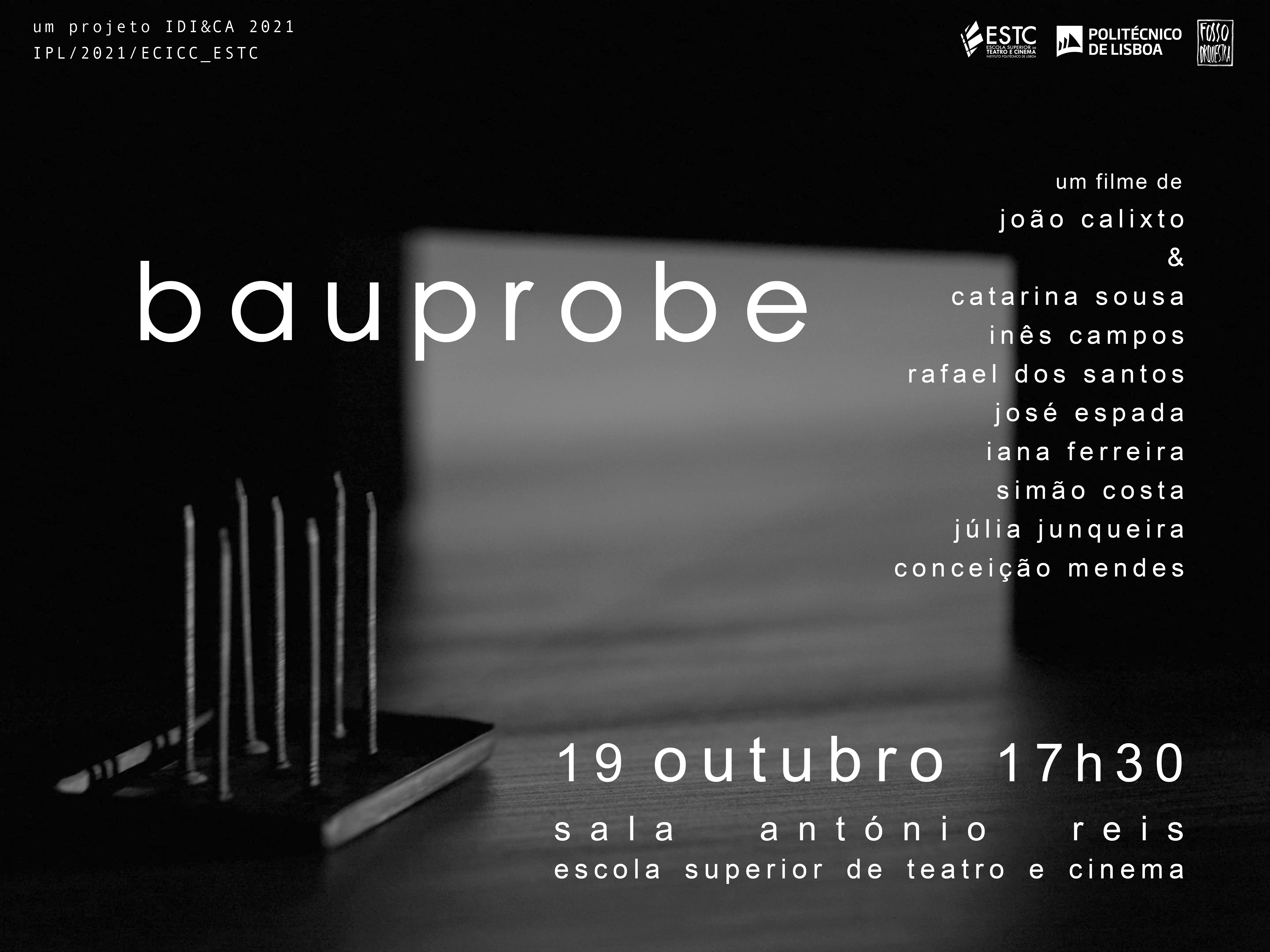 bauprobe