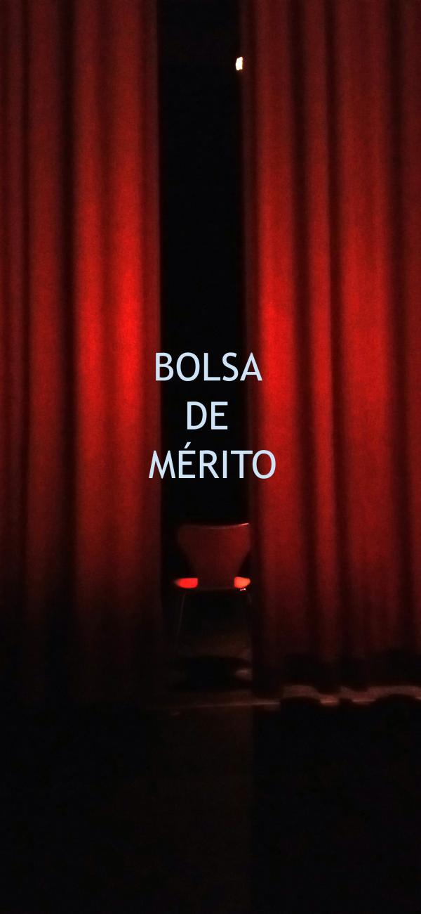 Bolsas de Mérito