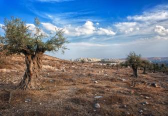ASHTAR Theatre | مسرح عشتار | Palestina