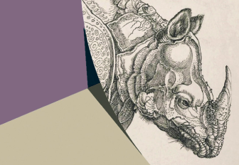 Chamada de Artigos | Vol. 3, n.º 2 da RHINOCERVS