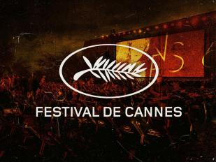 cannes estc