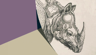 Chamada de Artigos | Vol. 3, n.º 2 da RHINOCERVS